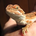 B Boy 08-09-08 b.jpg