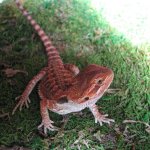 B Boy 08-09-08 b-.jpg