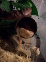 103_0187.jpg