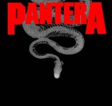 pantera.jpg