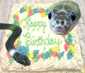 snakecake.jpg