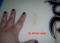 Picture 025.jpg
