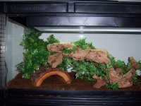 100_0781.jpg