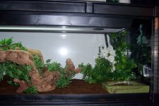 100_0782.jpg