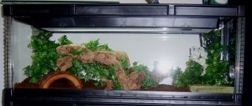 100_0787.jpg