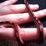 0402082035a.jpg