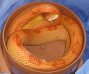 bath.jpg
