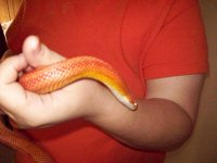 100_0111.JPG