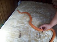 100_0117.JPG