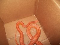 100_0126.JPG