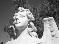 CavalryCemetary 027b.jpg