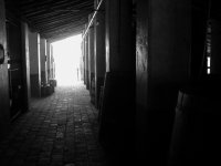 20040405 226a.jpg