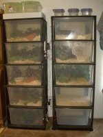 Racks.jpg