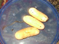 DSC01479.JPG
