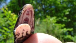 Image13.jpg