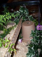 Picture 010.jpg