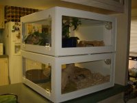 Cages 055_600.jpg