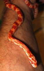 Furillo071307-3.jpg
