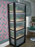 Rack 011_800.jpg