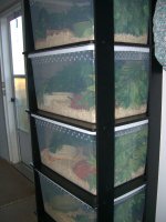 Rack 010_800.jpg