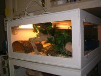 Maize Cage 008_800.jpg