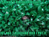 ispinndubirfd128633676517668959.jpg