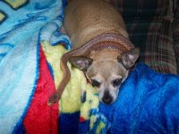 100_2621.jpg