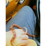 houdini the cornsnake.jpg