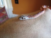IMG_0382.JPG