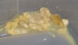 HPIM0488.JPG