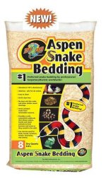 aspen_reptile.jpg