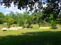 Pond 003.jpg