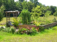 Pond 002.jpg