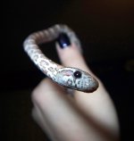 cleo 3D.jpg