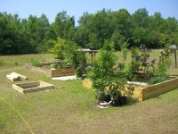 Pond Day _02 001.jpg