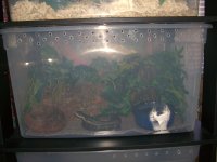 Addy's New Bin 001_800.jpg