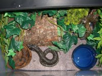 Addy's New Bin 004_800.jpg