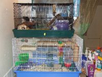 cage.JPG