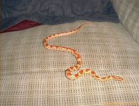 Resize of Aug26_01.JPG