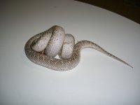 Coil 001.jpg