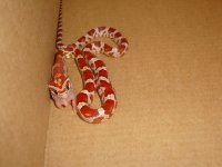 FyreFirstFeed092508c.JPG