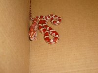 FyreFirstFeed092508e.JPG