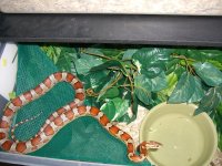 Cherry Hammock 008_800.jpg