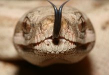 comp_IMG_5701.jpg