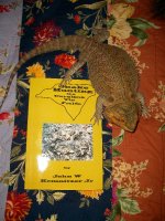 Snake Book.jpg