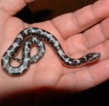 Kamaria 10-14-07 a.jpg