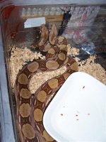 100_1194.jpg