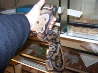 100_0784.jpg