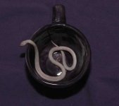 corneliacup.jpg