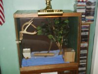 S2010075.JPG